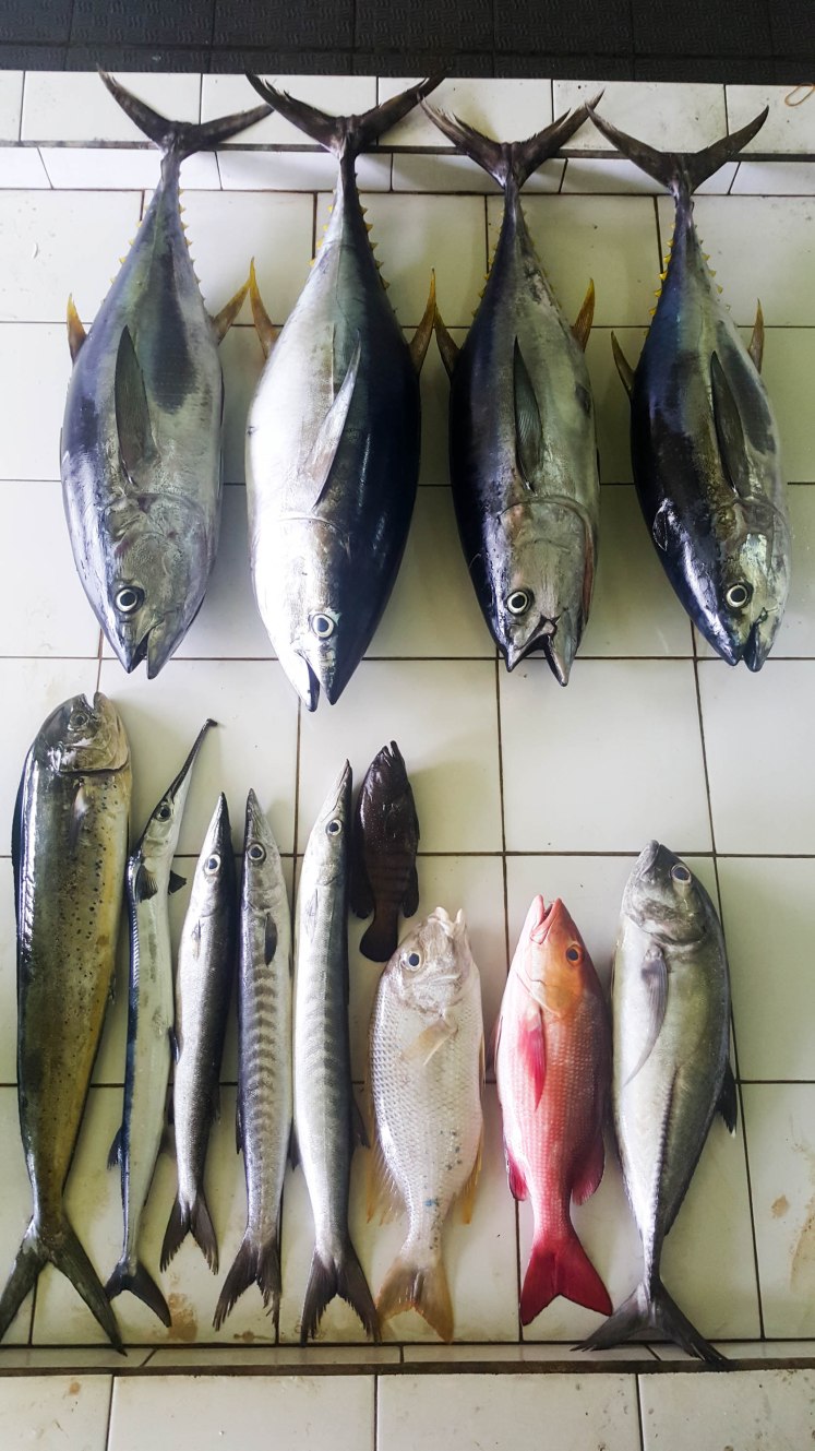 Maldives'16 (15 of 17)