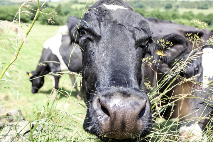 16'PeakDistrict (39 of 88)